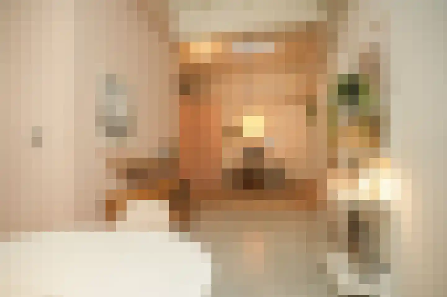 Verwersstraat 88 's-Hertogenbosch thumbnail 12