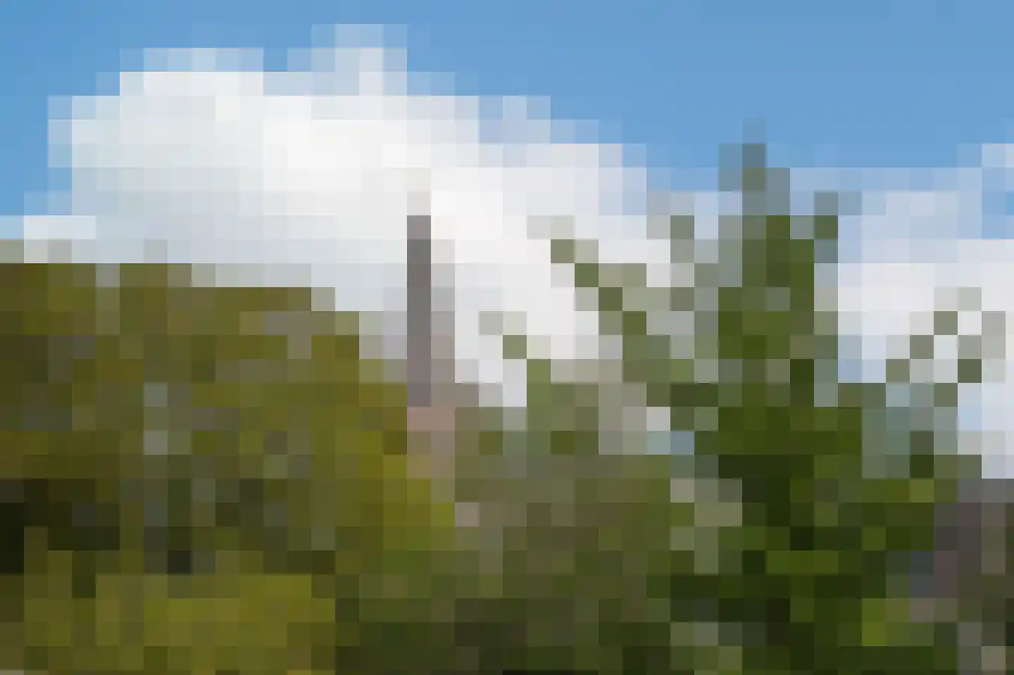 Verwersstraat 88 's-Hertogenbosch thumbnail 4