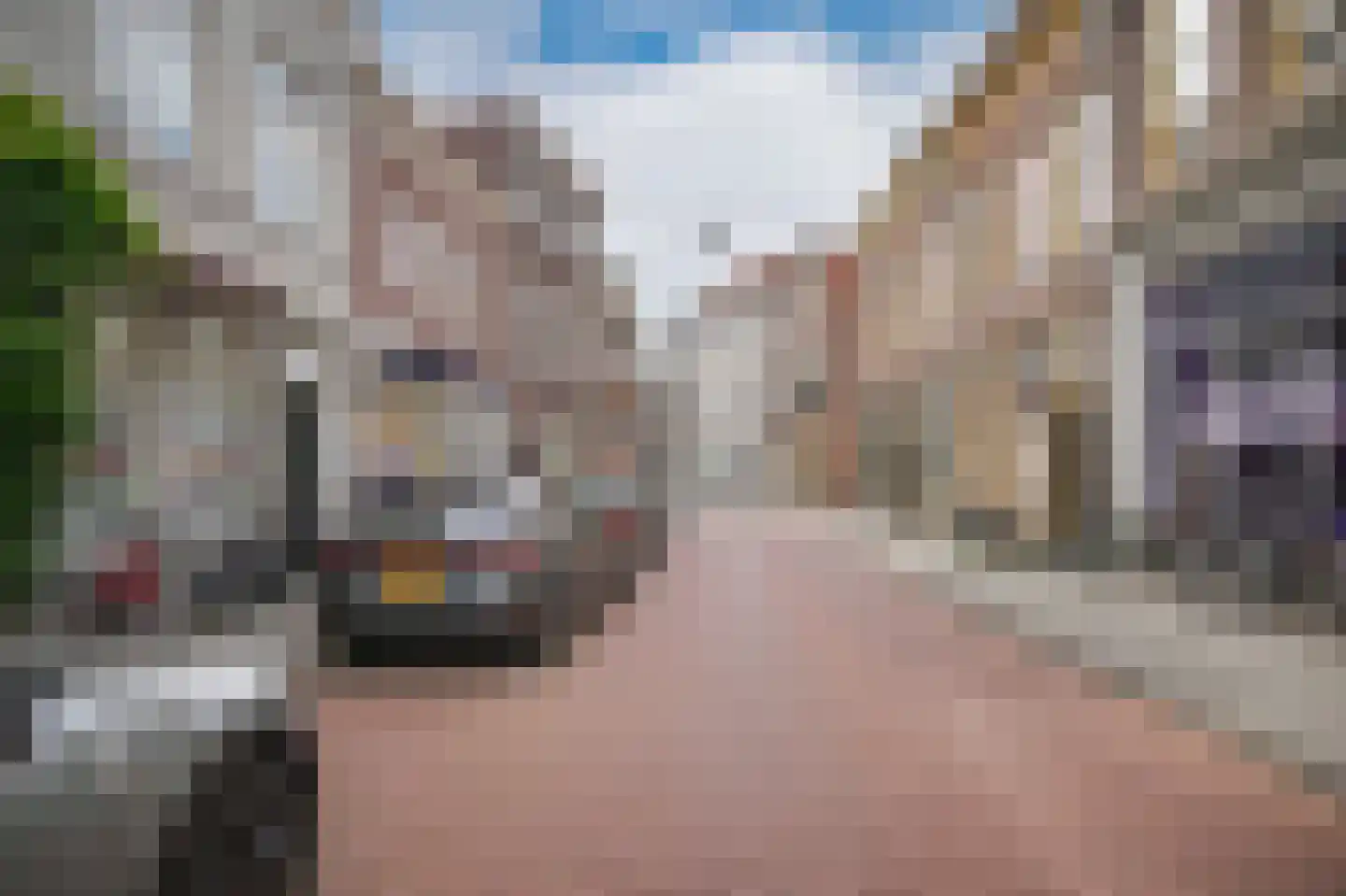 Verwersstraat 88 's-Hertogenbosch thumbnail 42