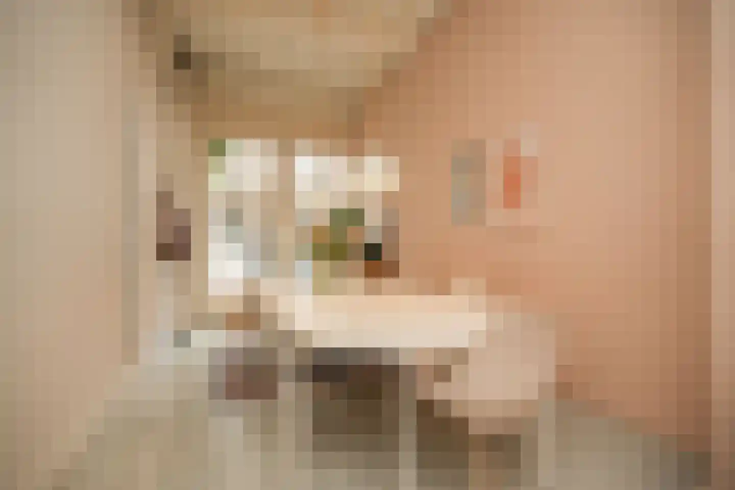 Verwersstraat 88 's-Hertogenbosch thumbnail 9