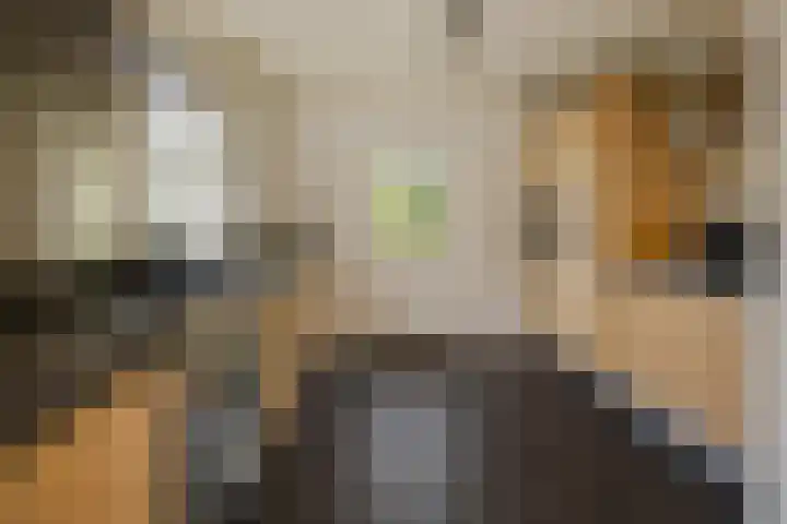 Verwerstraat 13 Oss thumbnail 11