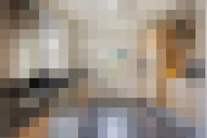 Verwerstraat 13 Oss thumbnail 12