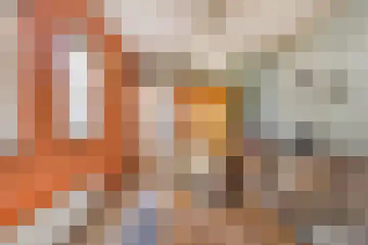 Verwerstraat 13 Oss thumbnail 16