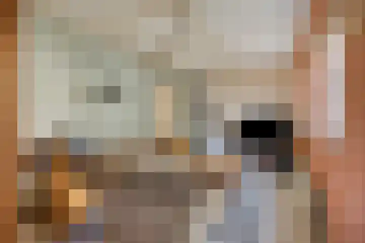 Verwerstraat 13 Oss thumbnail 17