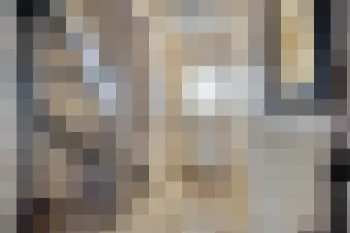 Verwerstraat 13 Oss thumbnail 18