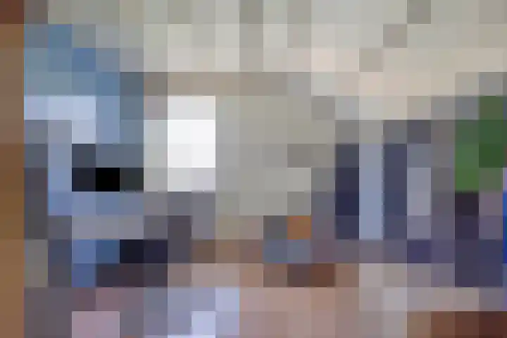 Verwerstraat 13 Oss thumbnail 23