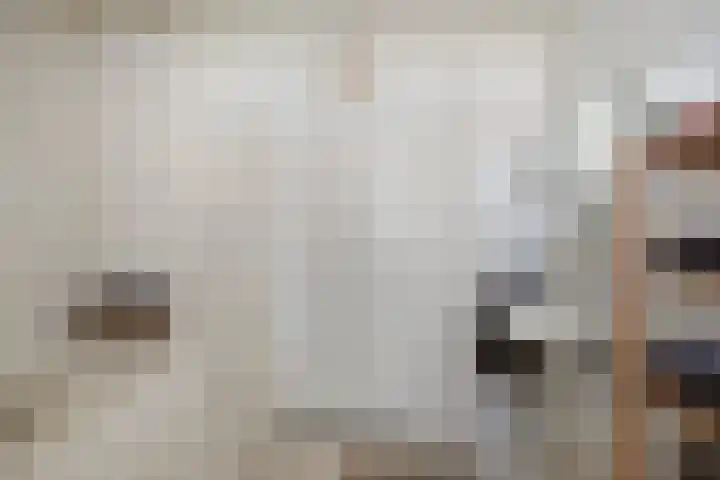 Verwerstraat 13 Oss thumbnail 26