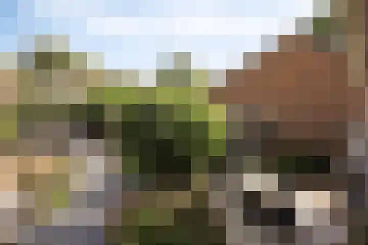 Verwerstraat 13 Oss thumbnail 32