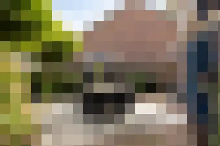 Verwerstraat 13 Oss thumbnail 33