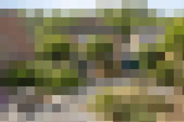 Verwerstraat 13 Oss thumbnail 34