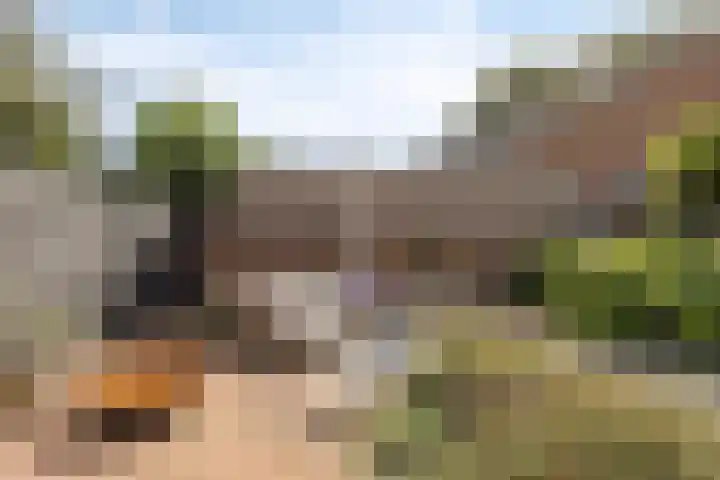 Verwerstraat 13 Oss thumbnail 35
