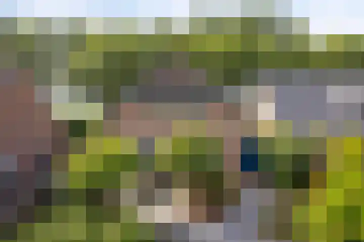Verwerstraat 13 Oss thumbnail 36