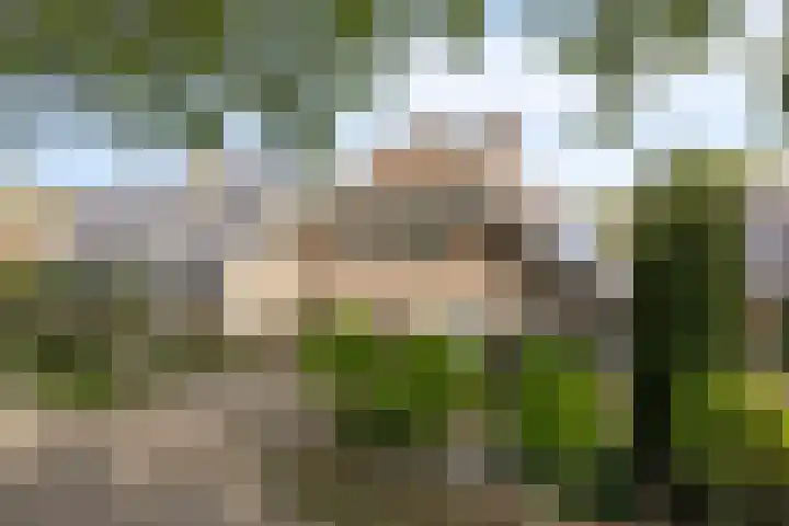 Verwerstraat 13 Oss thumbnail 37