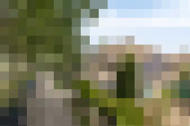Verwerstraat 13 Oss thumbnail 38
