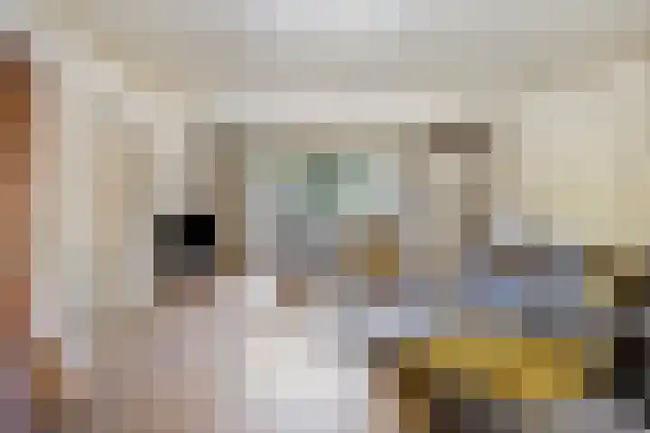 Verwerstraat 13 Oss thumbnail 4