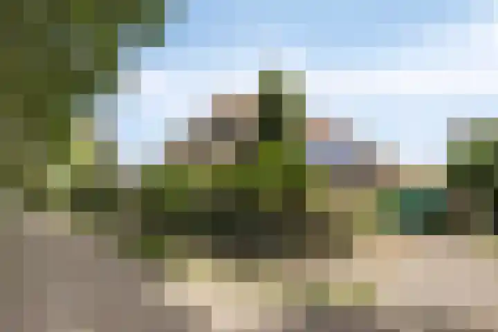 Verwerstraat 13 Oss thumbnail 41