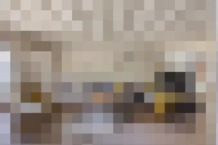 Verwerstraat 13 Oss thumbnail 7