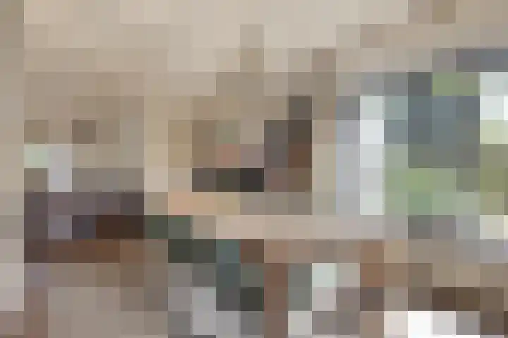 Verwerstraat 13 Oss thumbnail 8