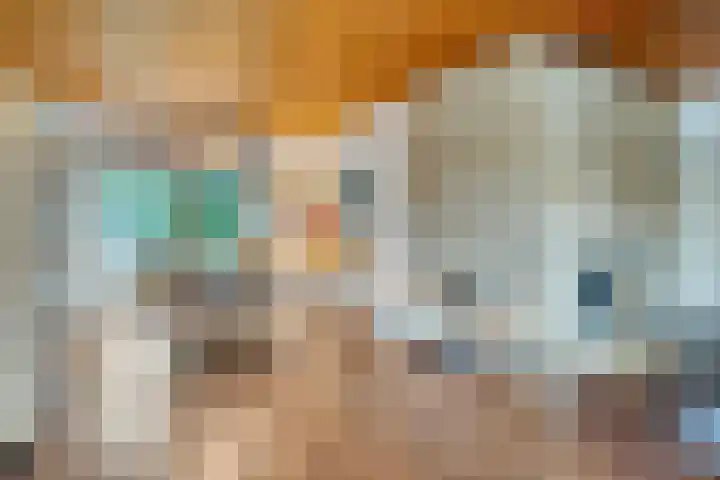 Verwerstraat 25 Son en Breugel thumbnail 12