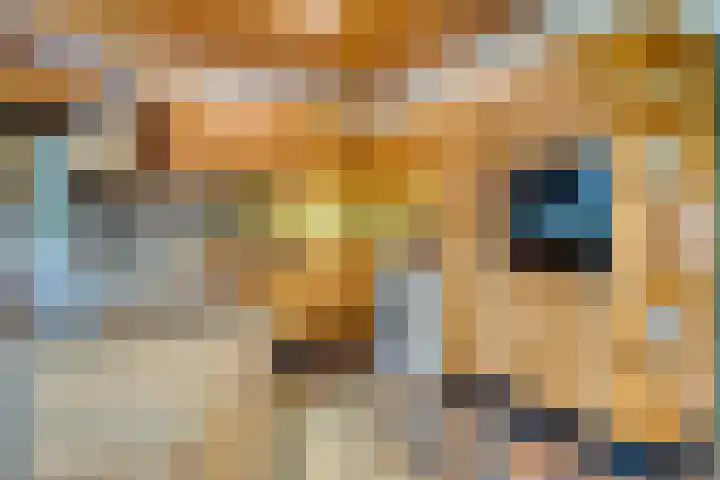 Verwerstraat 25 Son en Breugel thumbnail 18