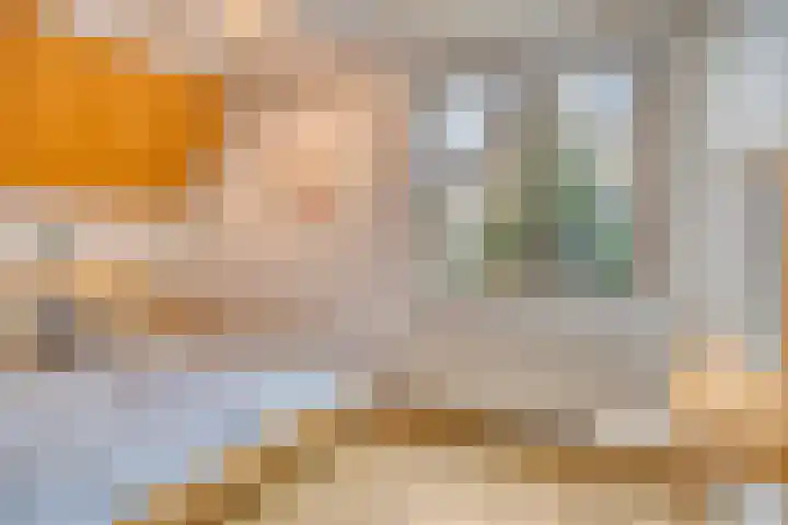 Verwerstraat 25 Son en Breugel thumbnail 22