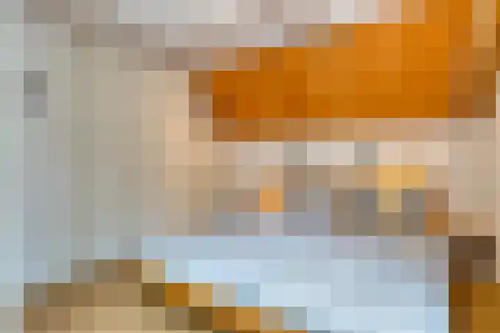Verwerstraat 25 Son en Breugel thumbnail 23