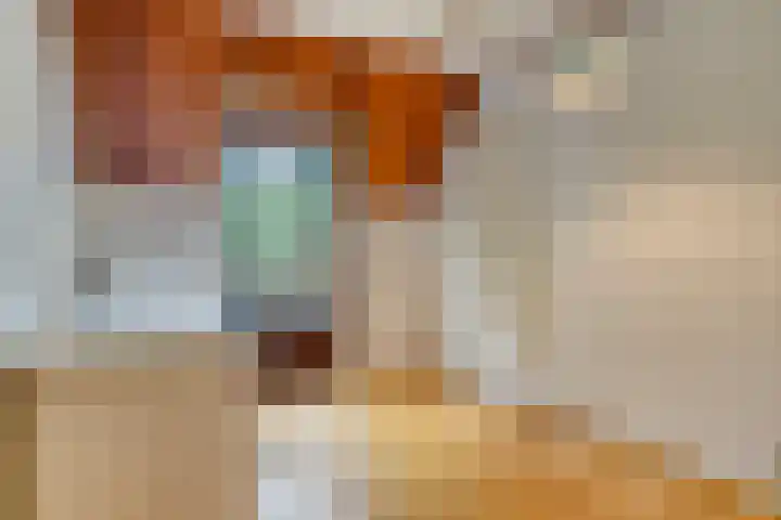 Verwerstraat 25 Son en Breugel thumbnail 26