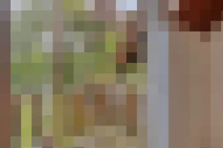 Verwerstraat 25 Son en Breugel thumbnail 27