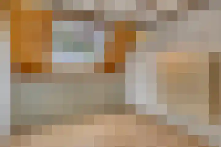 Verwerstraat 25 Son en Breugel thumbnail 34
