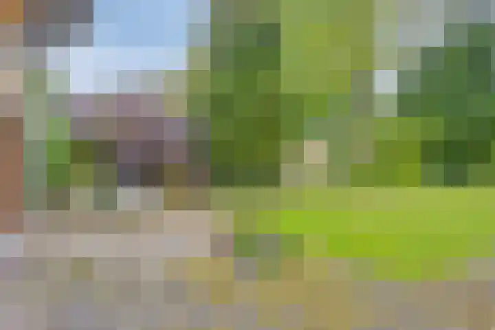 Verwerstraat 25 Son en Breugel thumbnail 37