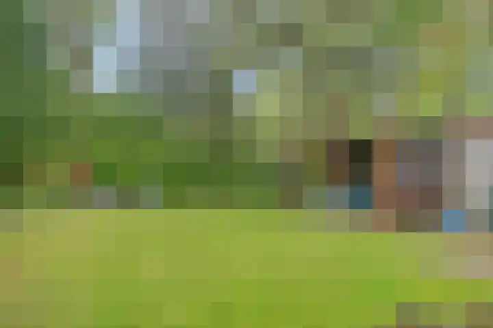 Verwerstraat 25 Son en Breugel thumbnail 38