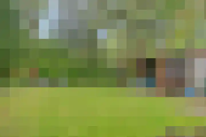 Verwerstraat 25 Son en Breugel thumbnail 4