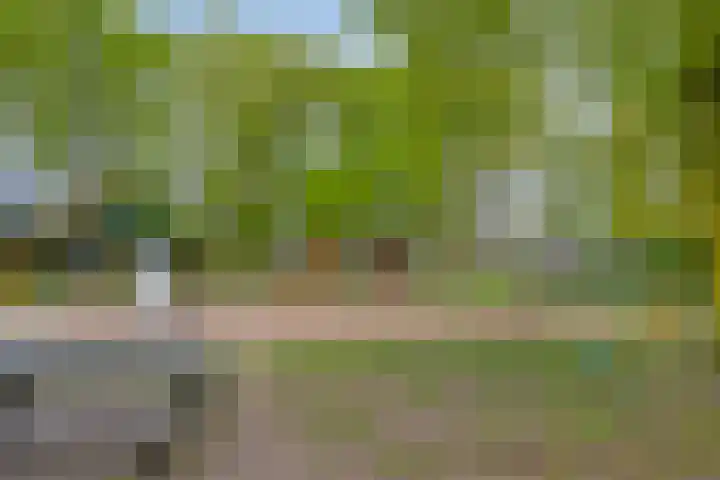 Verwerstraat 25 Son en Breugel thumbnail 43