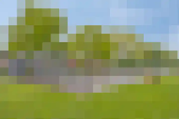 Verwerstraat 25 Son en Breugel thumbnail 44