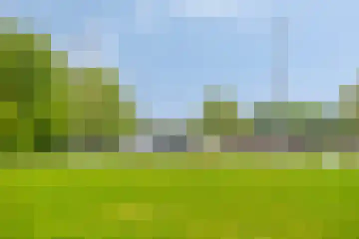 Verwerstraat 25 Son en Breugel thumbnail 45