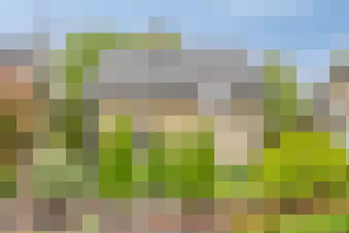 Verwerstraat 25 Son en Breugel thumbnail 49
