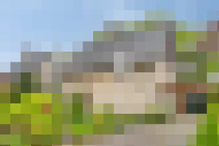 Verwerstraat 25 Son en Breugel thumbnail 55