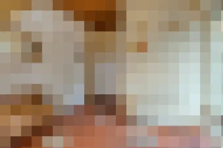 Verwerstraat 25 Son en Breugel thumbnail 7