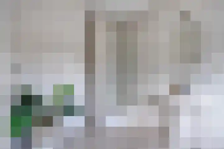 Verwerstraat 63 Eindhoven thumbnail 24