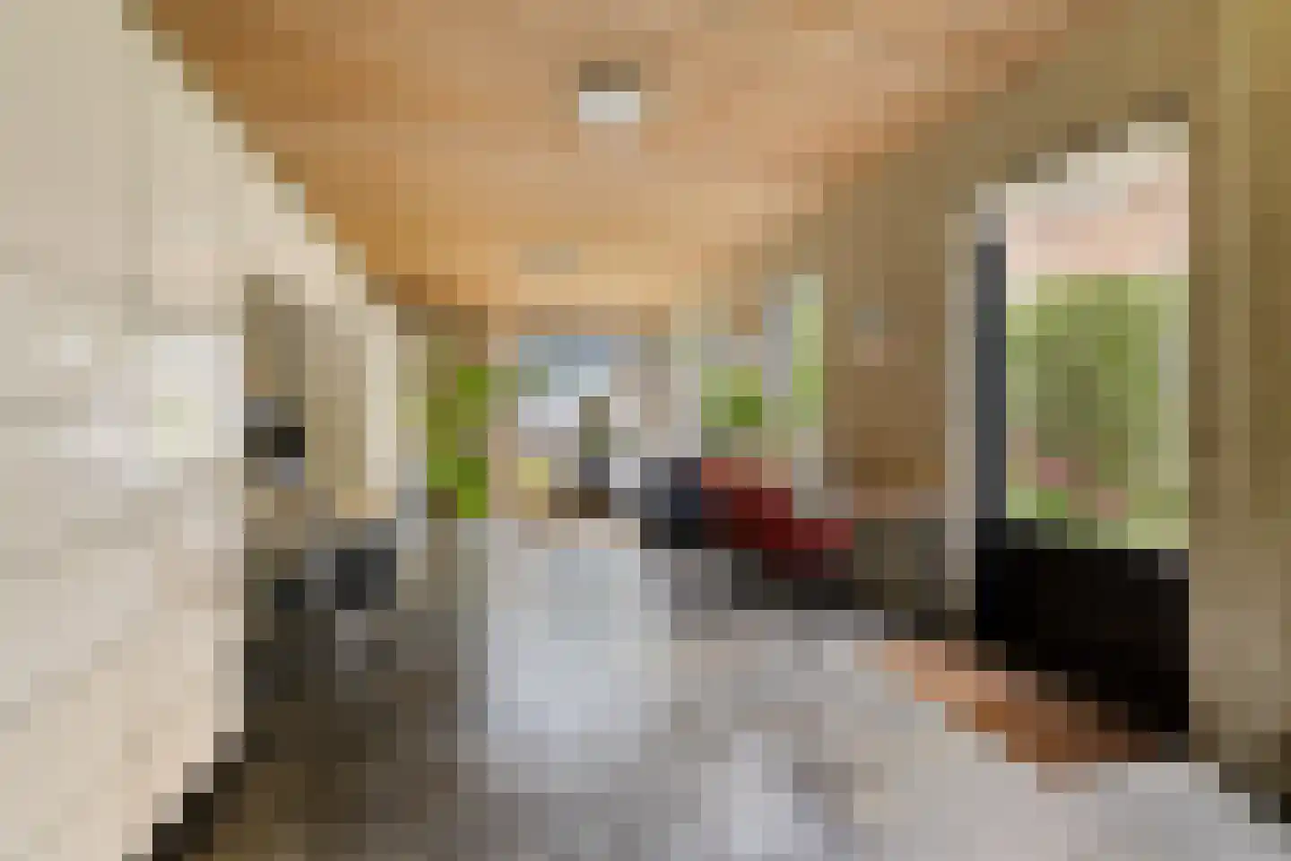 Verwerstraat 7 Oss thumbnail 16