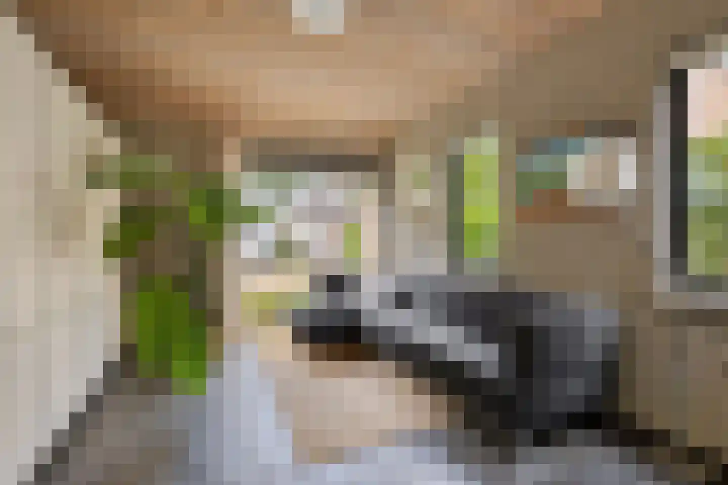 Verwerstraat 7 Oss thumbnail 17