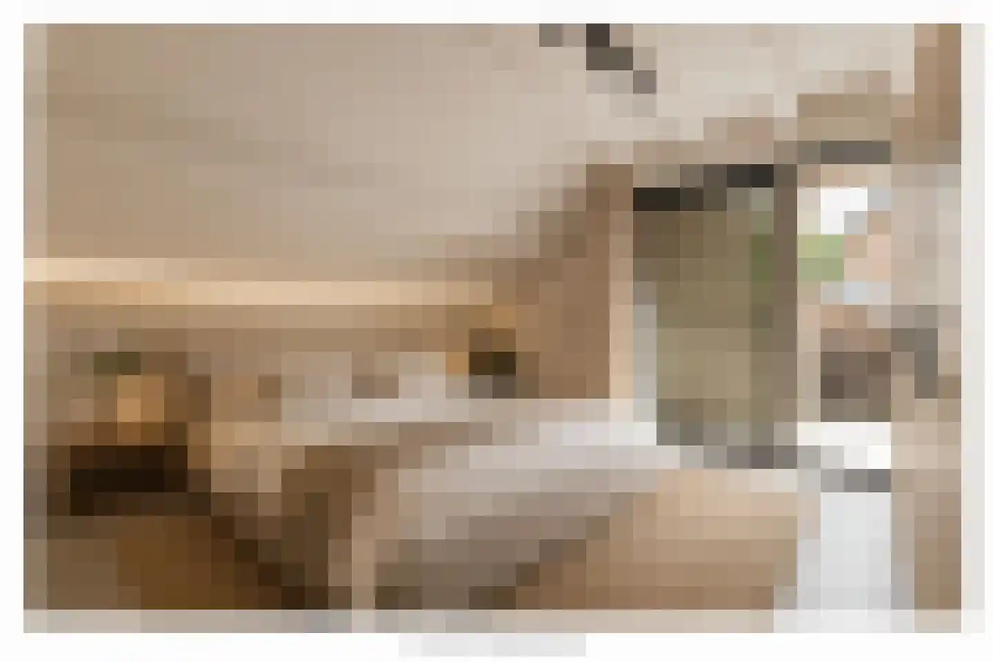 Verwerstraat 7 Oss thumbnail 25