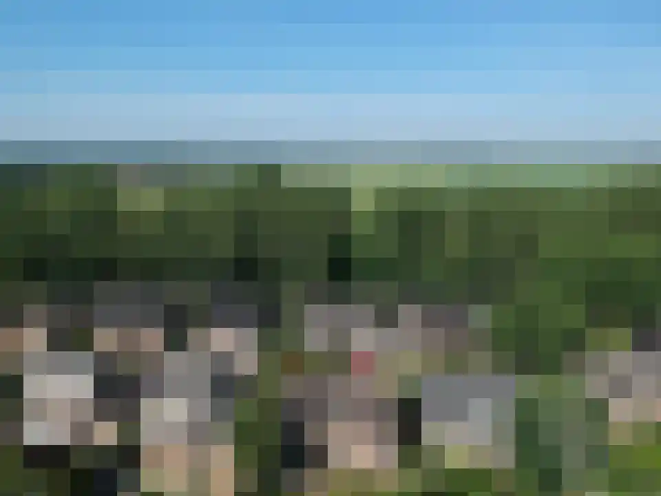 Verwerstraat 7 Oss thumbnail 49