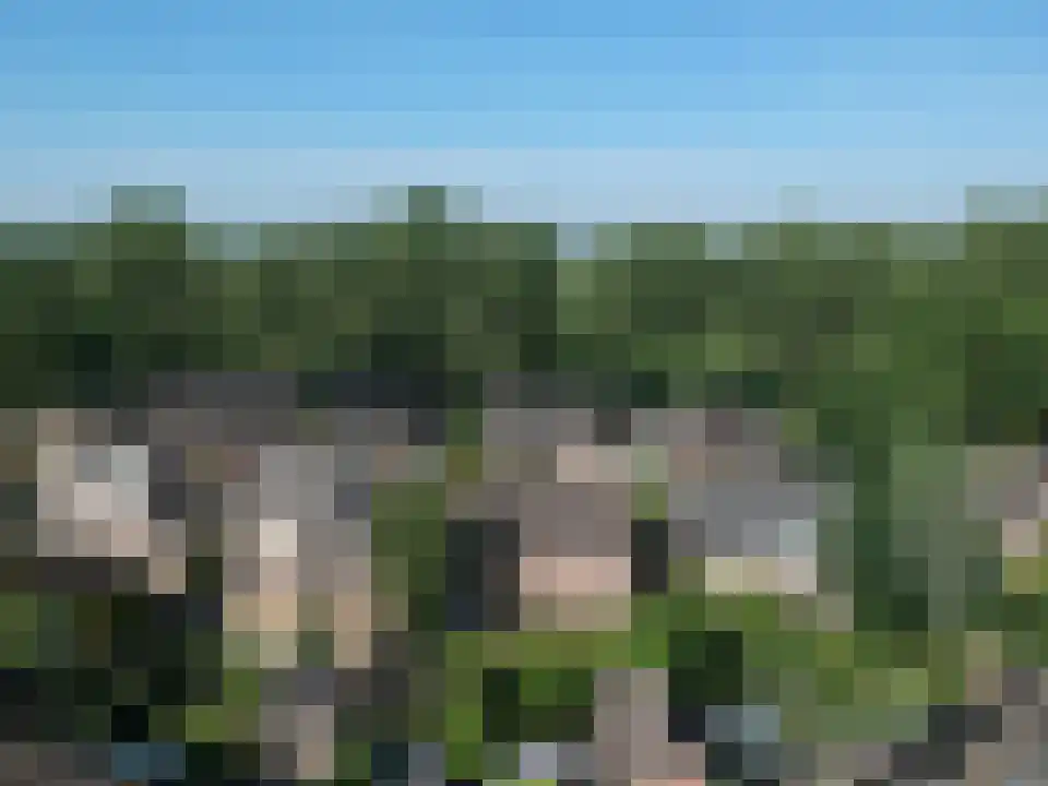 Verwerstraat 7 Oss thumbnail 50