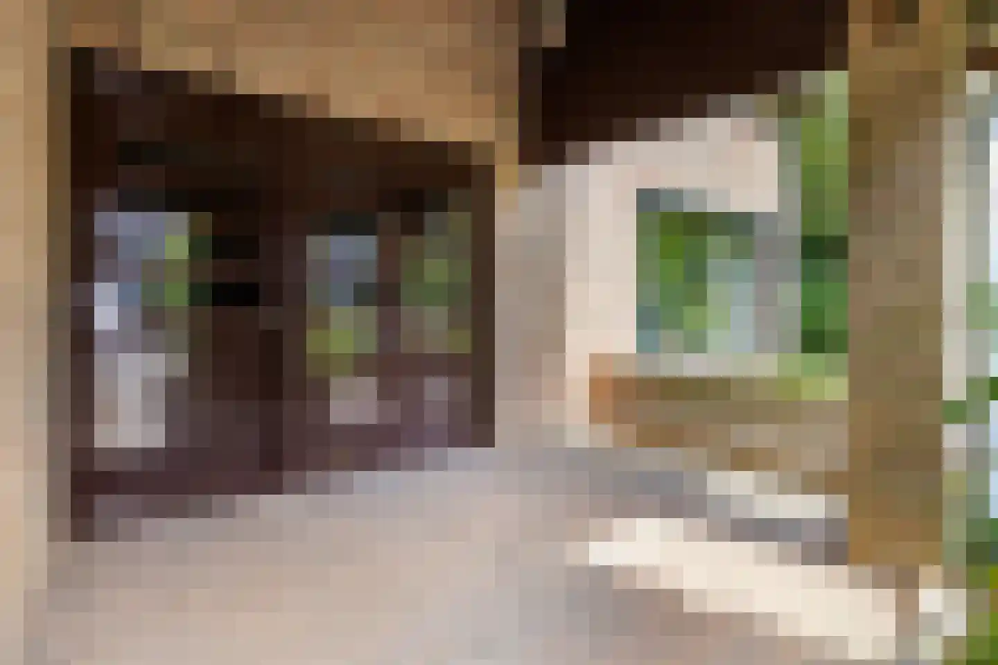 Verwerstraat 7 Oss thumbnail 6