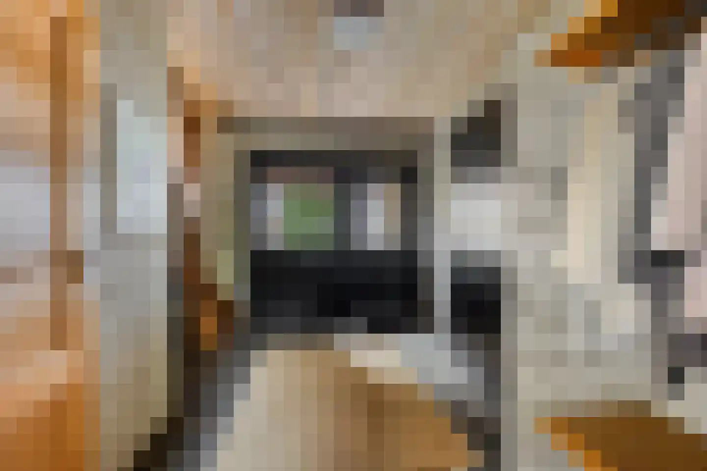 Verwerstraat 7 Oss thumbnail 7