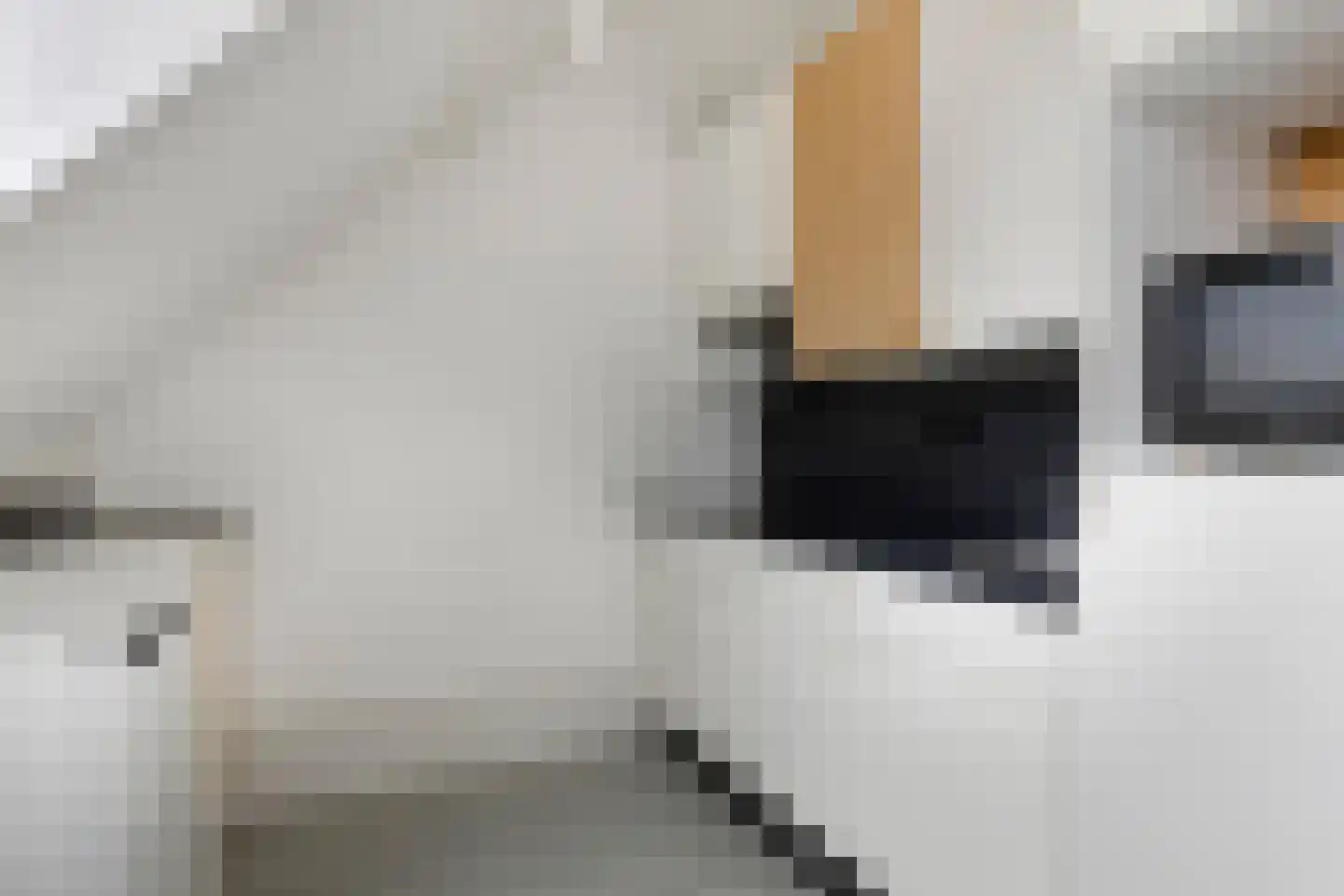 Verwerstraat 84 Eindhoven thumbnail 27