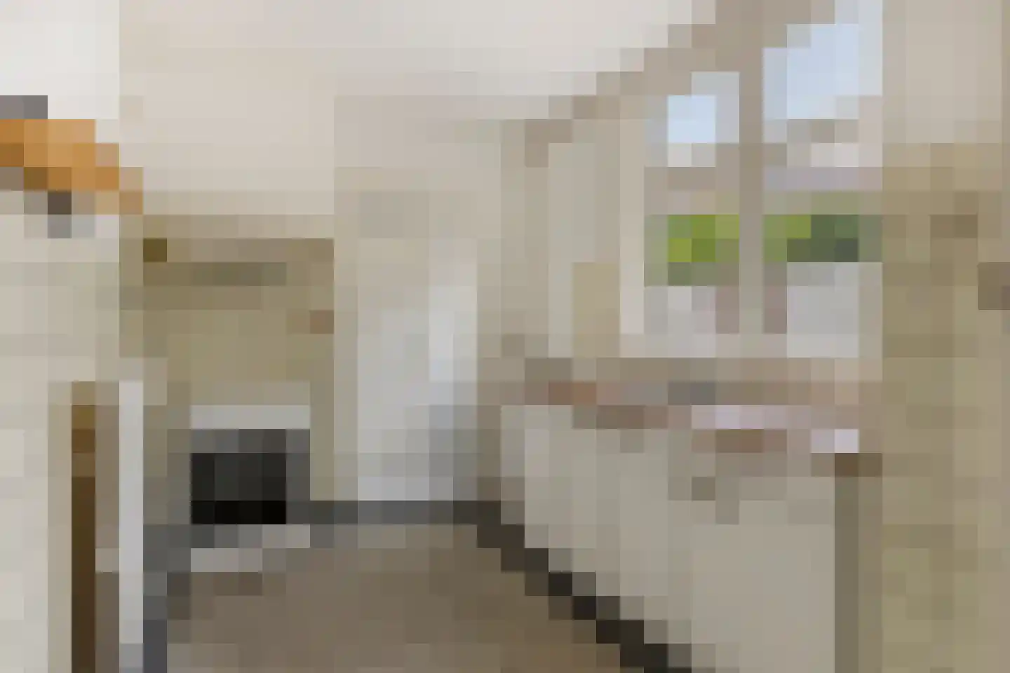 Verwerstraat 84 Eindhoven thumbnail 8