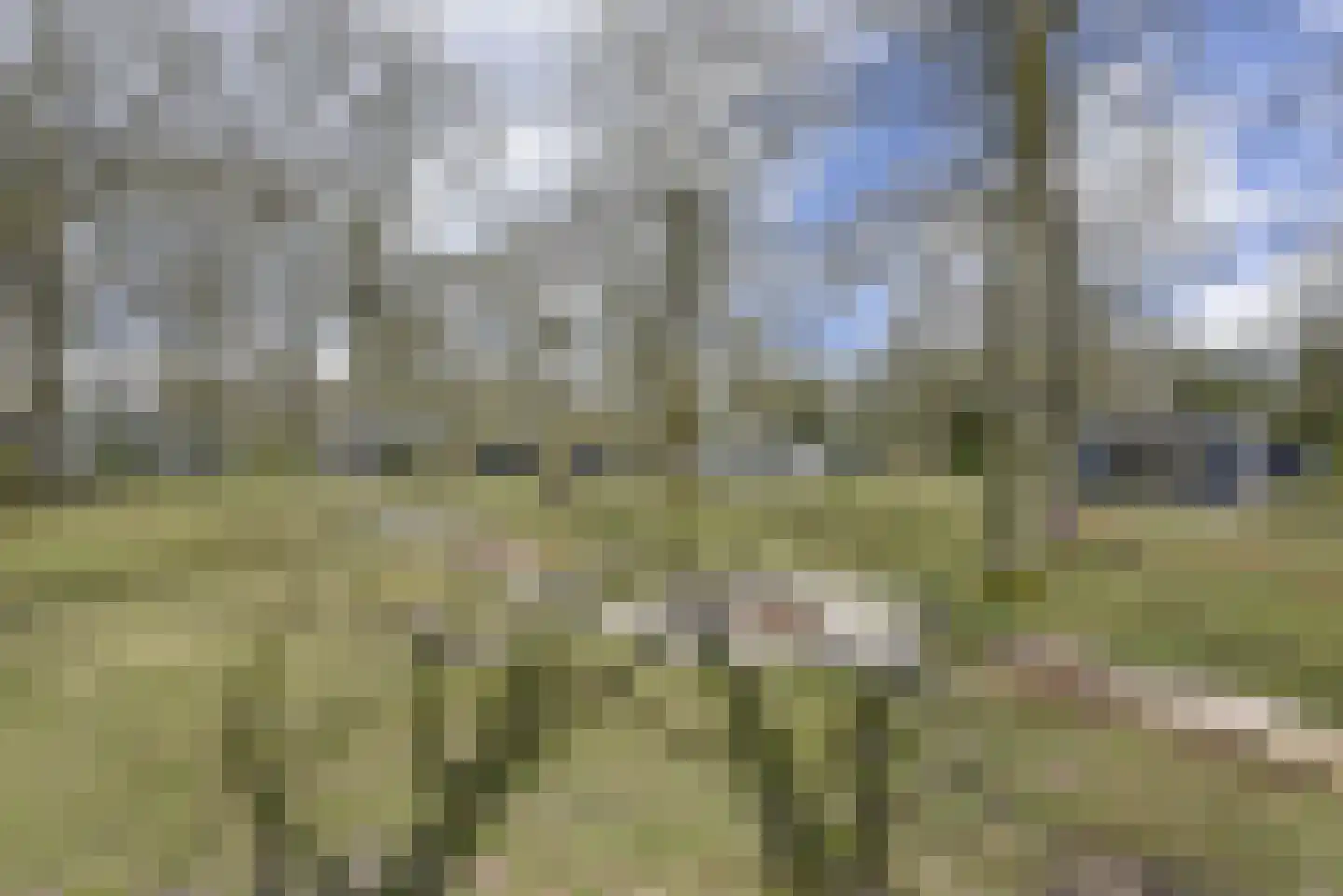 Verwersweg 1 a Zorgvlied thumbnail 27