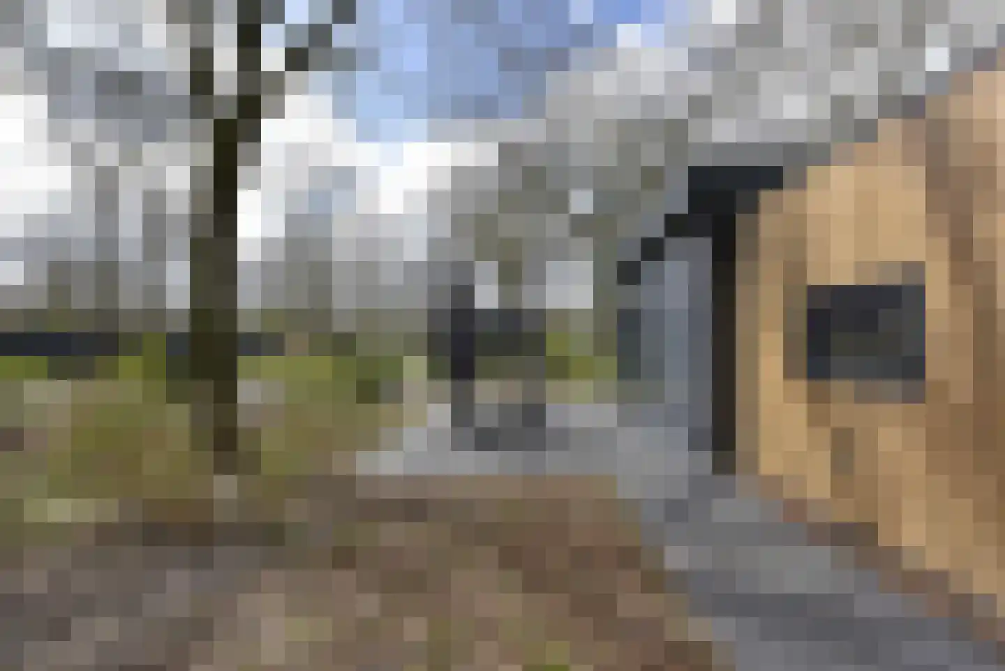 Verwersweg 1 a Zorgvlied thumbnail 4